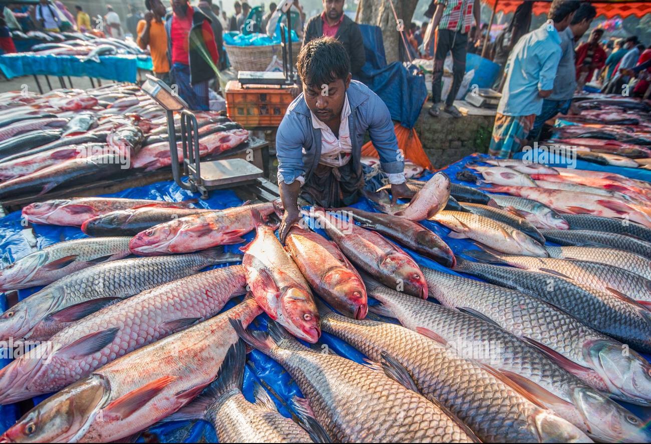 Fresh fish at market